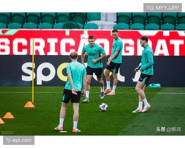 爱尔兰中场强硬表现助球队斩获关键胜利