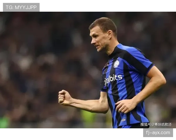 雷吉纳比赛亮点