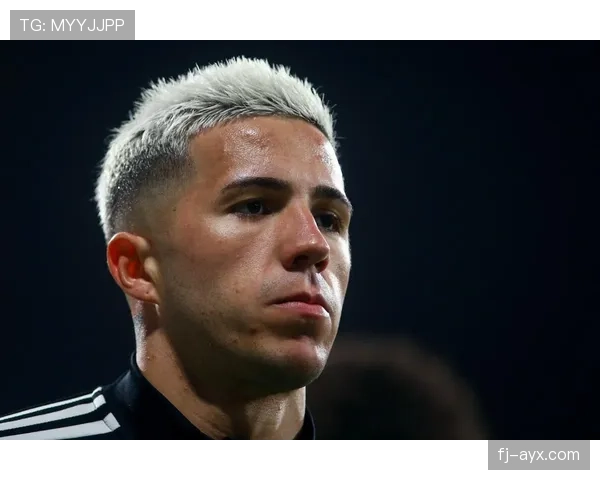 1.2亿欧元标王转会：恩佐为何值这个价格